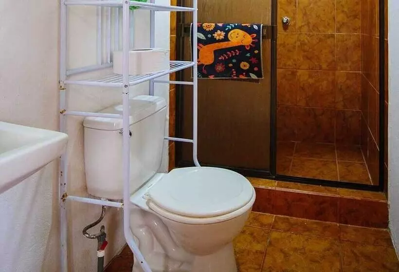 Aamiaismajoitus (B&B) Hostel Cattleya   Monteverde, Costa Rica
