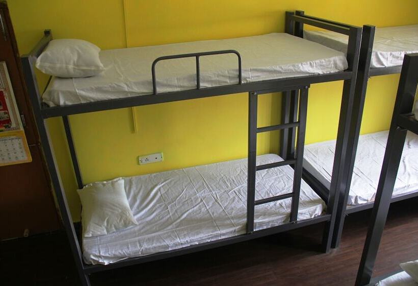 Eltravo Hostel Udaipur