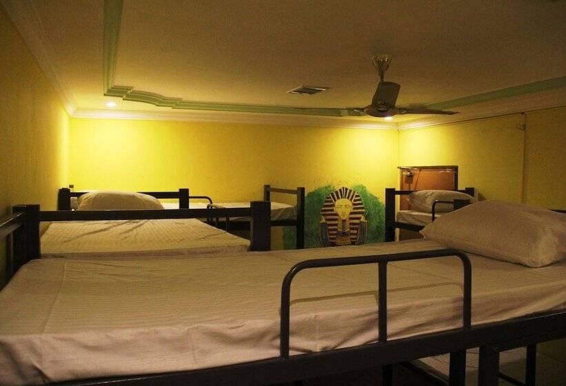 Eltravo Hostel Udaipur