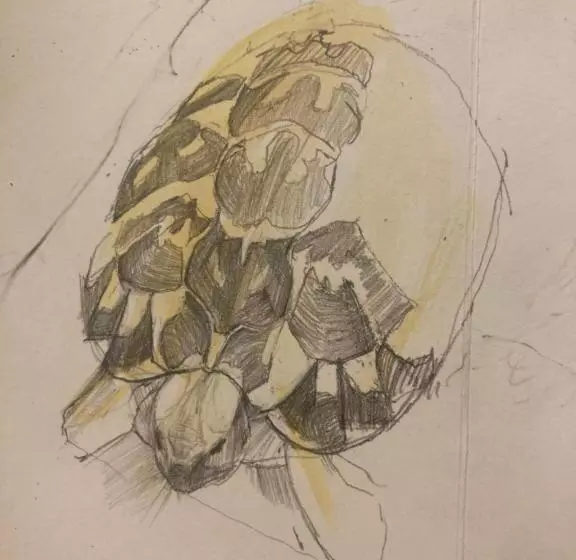 Hotelli Hevresac Singular & Small