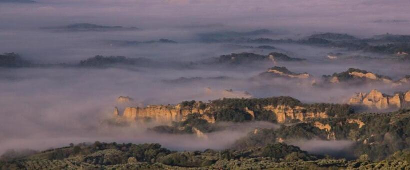 膳宿费 Osteria I'casolare