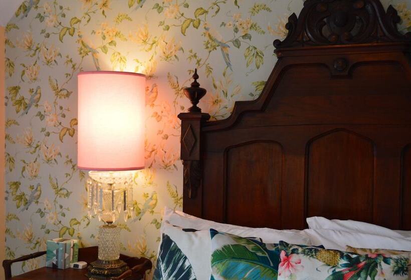 住宿加早餐 300 Clifton