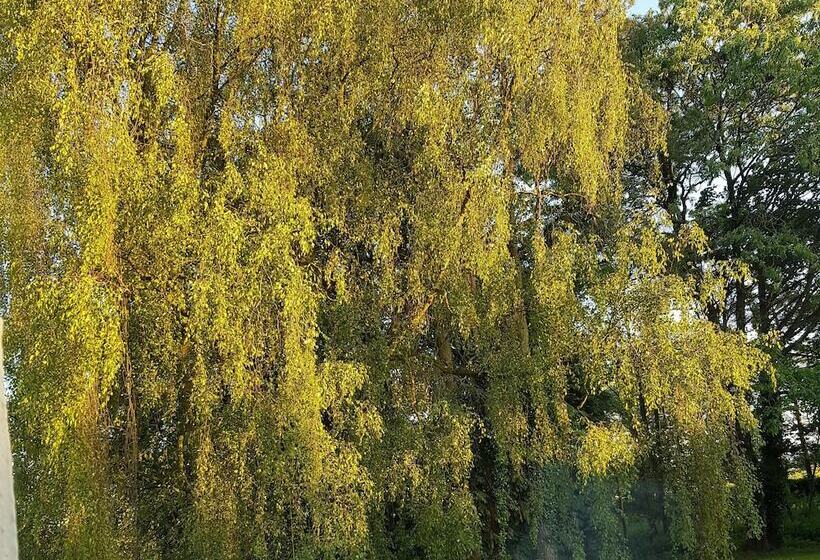 בית מלון כפרי Oldfarm