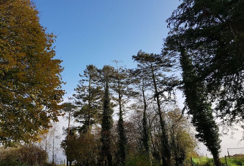 בית מלון כפרי Oldfarm