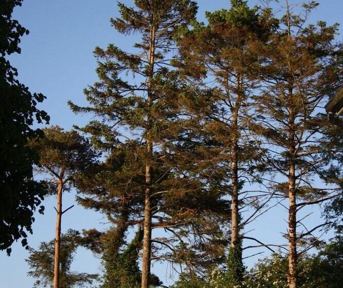 בית מלון כפרי Oldfarm