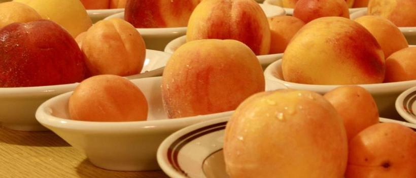 Отель Pensione Mizia