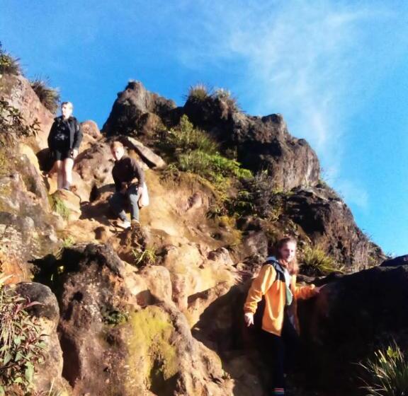 פנסיון Sapo Karo Rest House