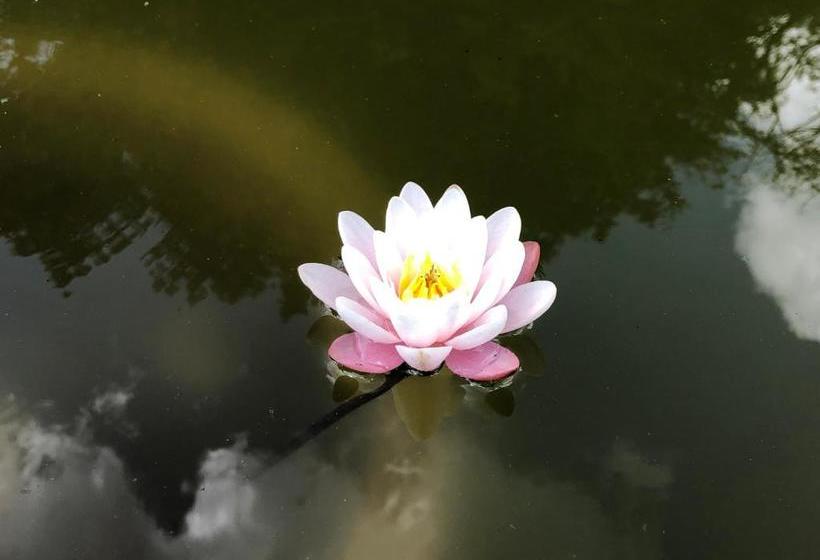 مبيت وإفطار Château De La Gauderie