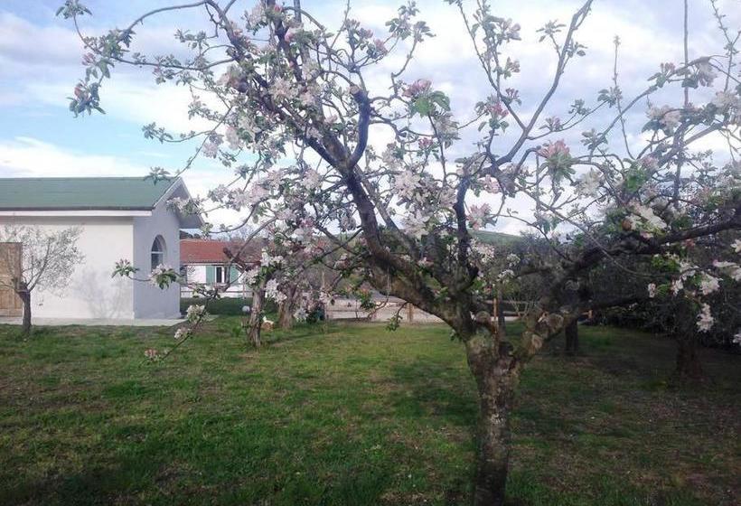 Nocleg ze śniadaniem La Piccola Fattoria