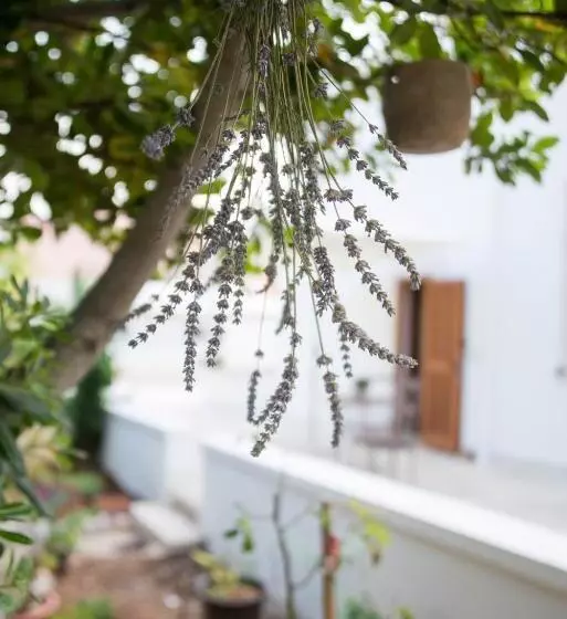 Aamiaismajoitus (B&B) Giardino Segreto