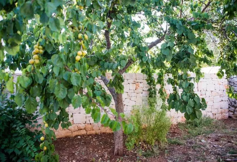 Aamiaismajoitus (B&B) Giardino Segreto