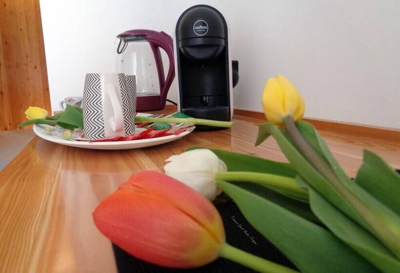 住宿加早餐  Tramura Guest House