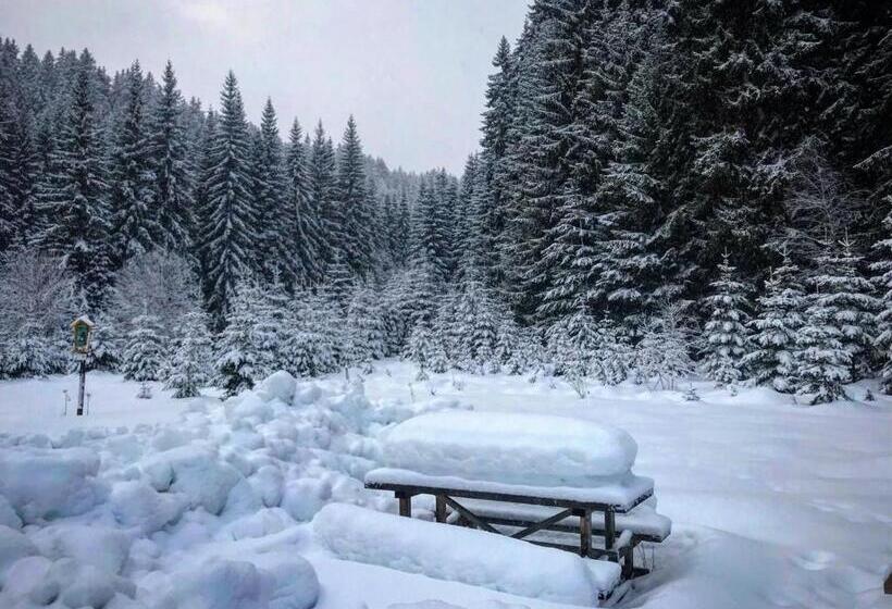 ペンション Penzion Panský Dům