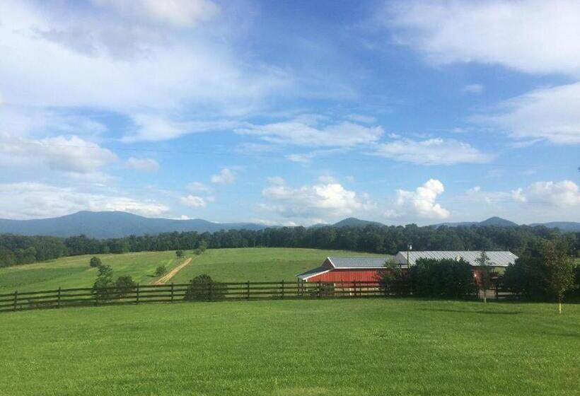 Piney Hill B & B And Cottages