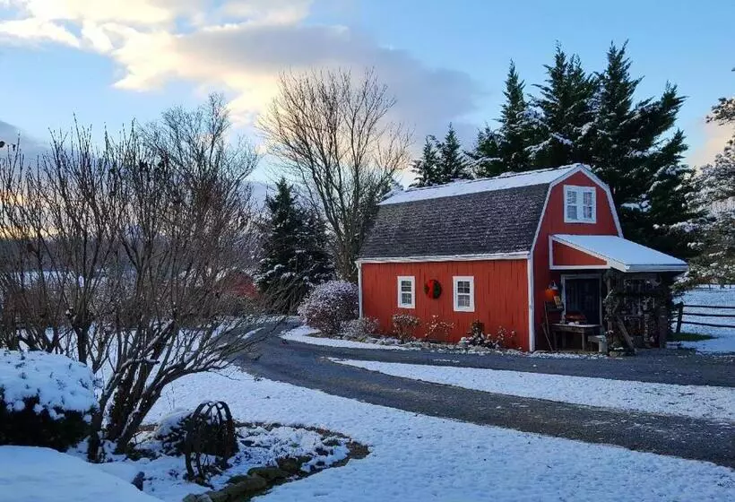 Piney Hill B & B And Cottages