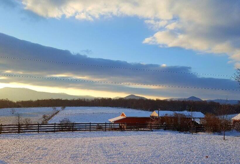 Piney Hill B & B And Cottages