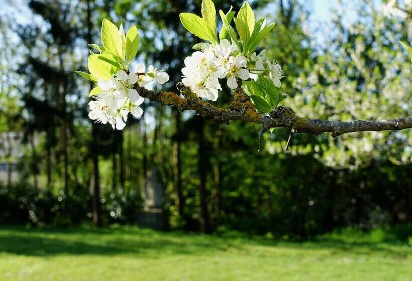 مبيت وإفطار Les Prémontrés