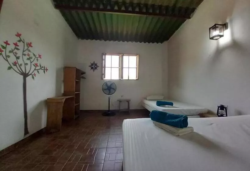 ペンション Hostal Luz De Luna