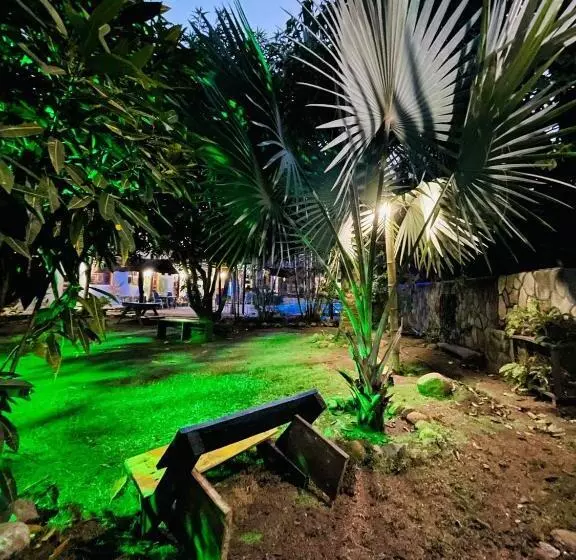 ペンション Hostal Luz De Luna
