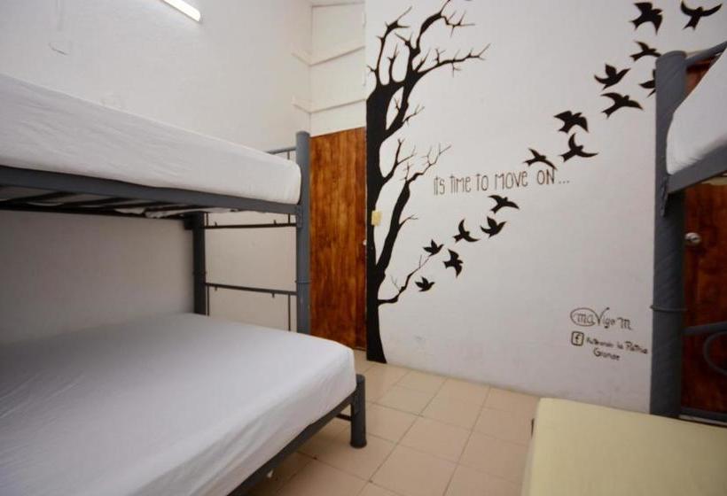 פנסיון Hostel 6/15