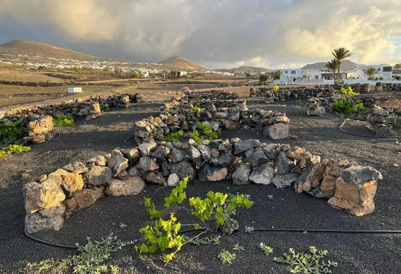 Finca Isolina Hotel Boutique   Adults Recommended