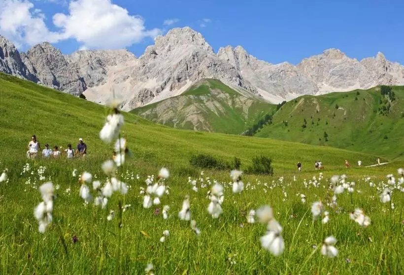 هتل Chalet Aster