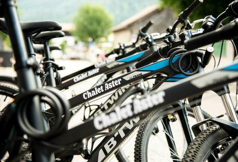 فندق Chalet Aster