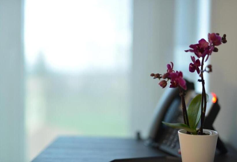 Пансион Diana Rooms