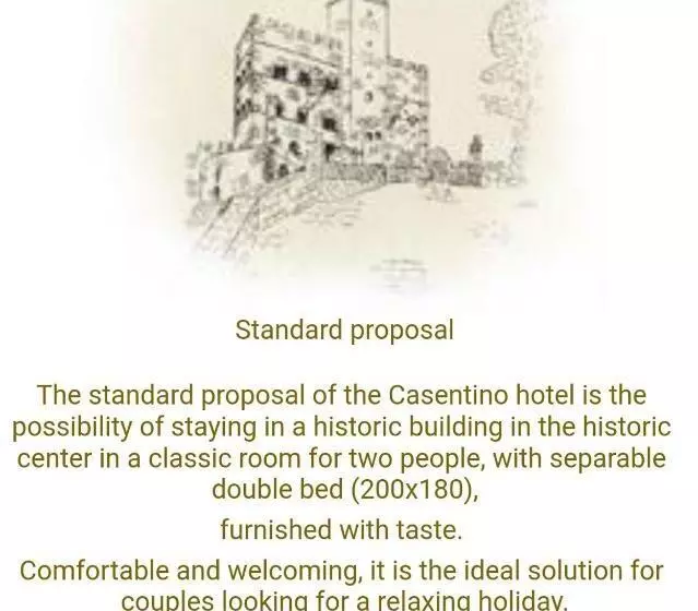 ホテル Albergo Casentino