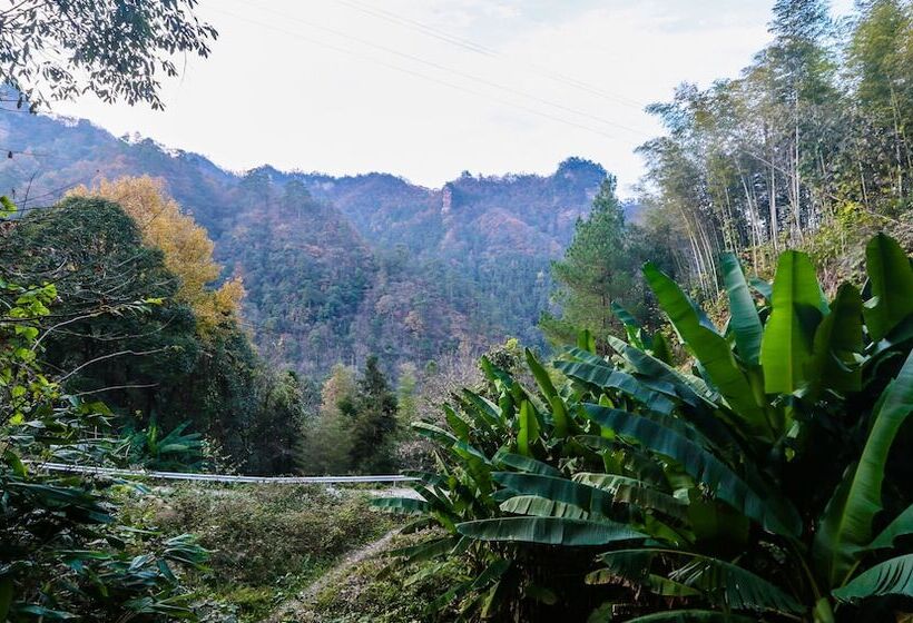 Pension Mountain For Inn