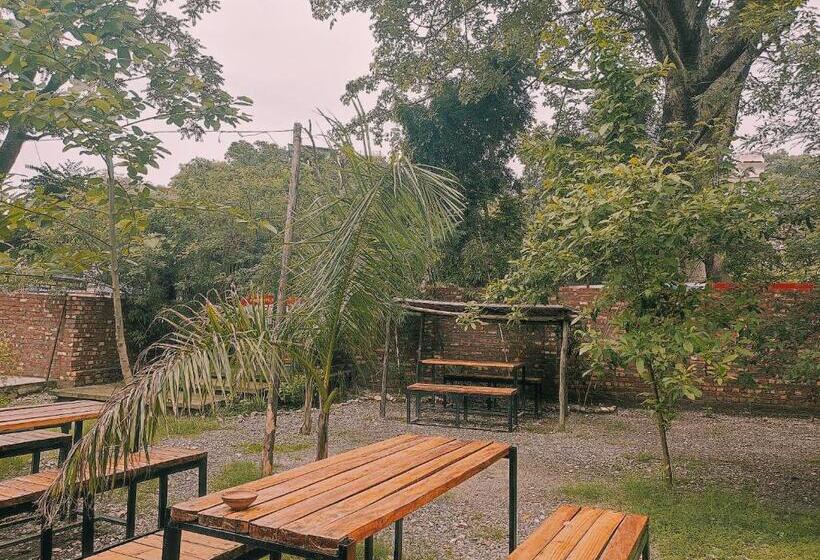 הוסטל Indian Culture