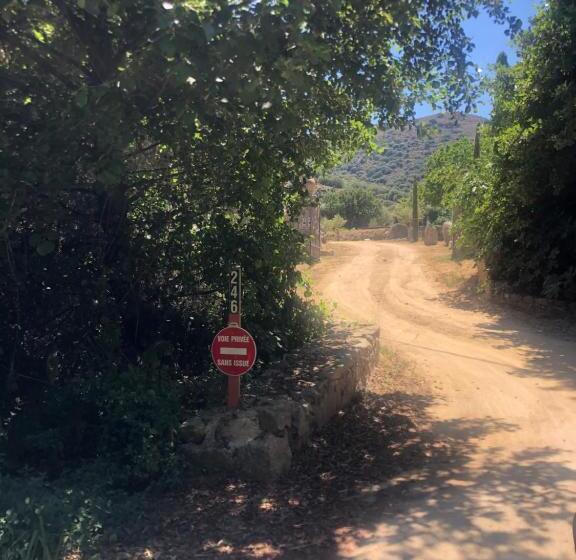 住宿加早餐 Chambre D Hotes Domainedilalivi