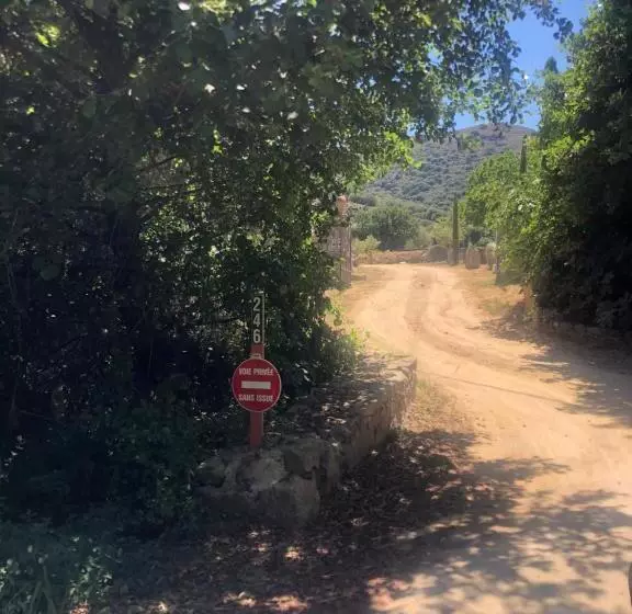 ベッドアンドブレックファースト Chambre D Hotes Domainedilalivi