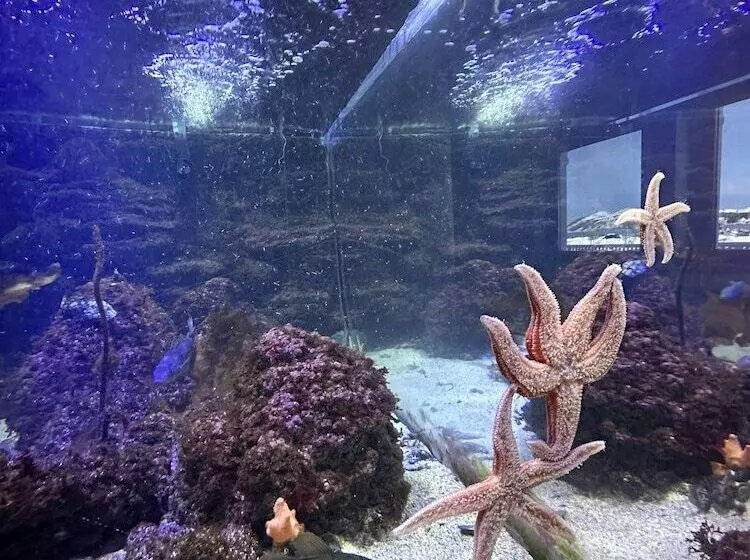 Lomakeskus Norsk Havbrukssenter  Rorbuer