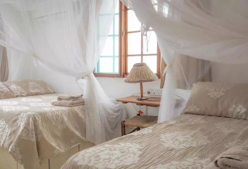 Majatalo C Mew Guest House