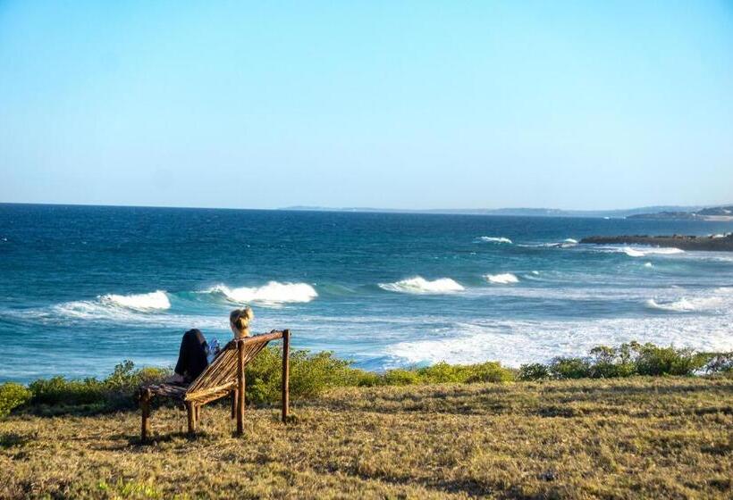 Pensionat C Mew Guest House