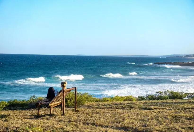 Majatalo C Mew Guest House