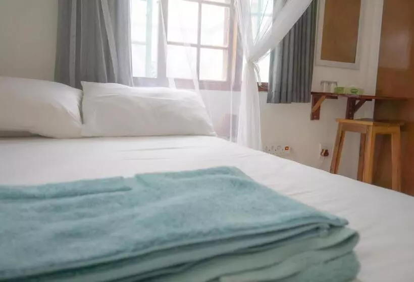 Majatalo C Mew Guest House