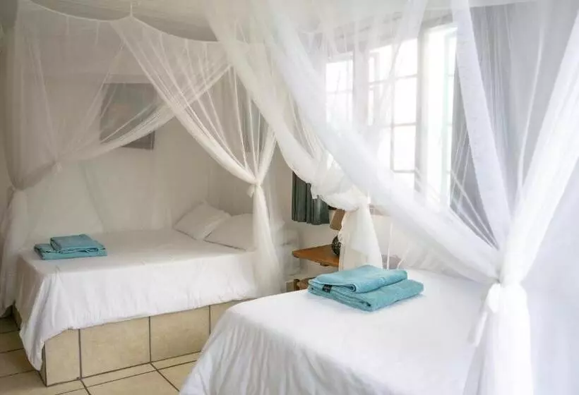 Majatalo C Mew Guest House