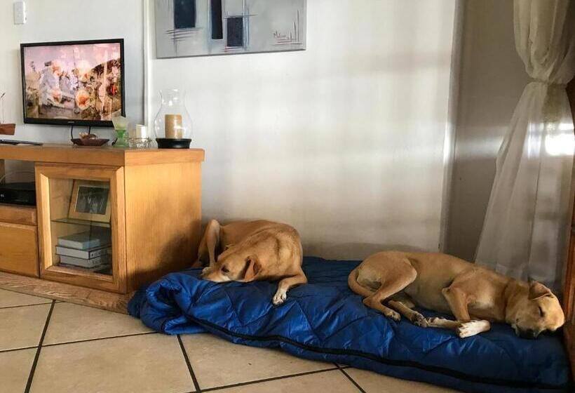 Pensionat C Mew Guest House