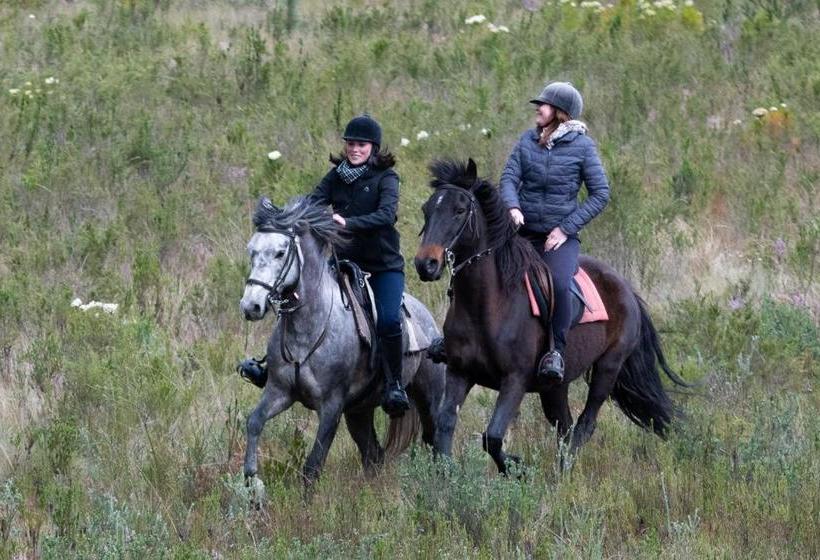 فندق Oudebosch Guest Farm
