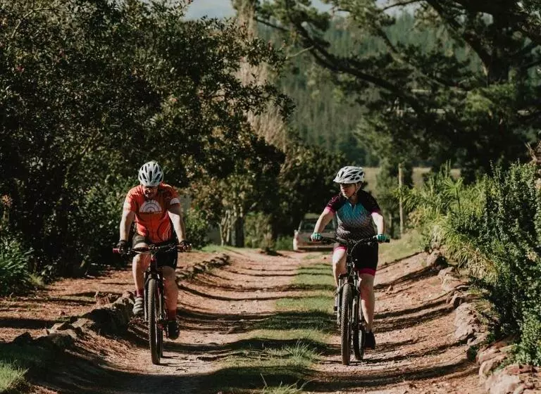 ホテル Oudebosch Guest Farm