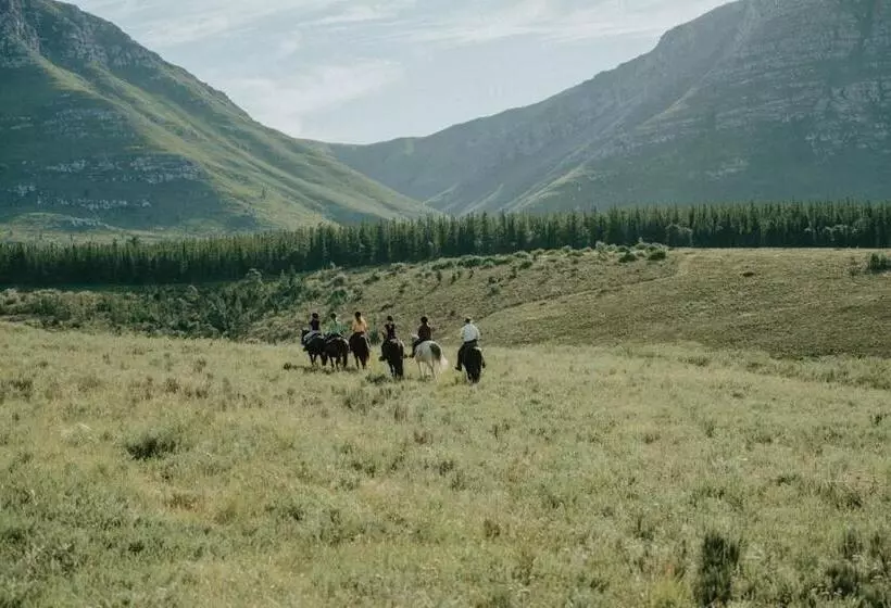 ホテル Oudebosch Guest Farm