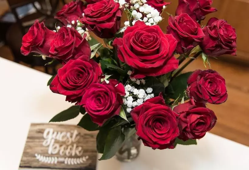 Aamiaismajoitus (B&B) Broad River Inn