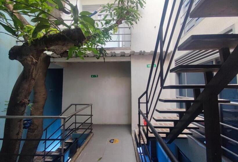 펜션 Nirvana Casa De Huéspedes