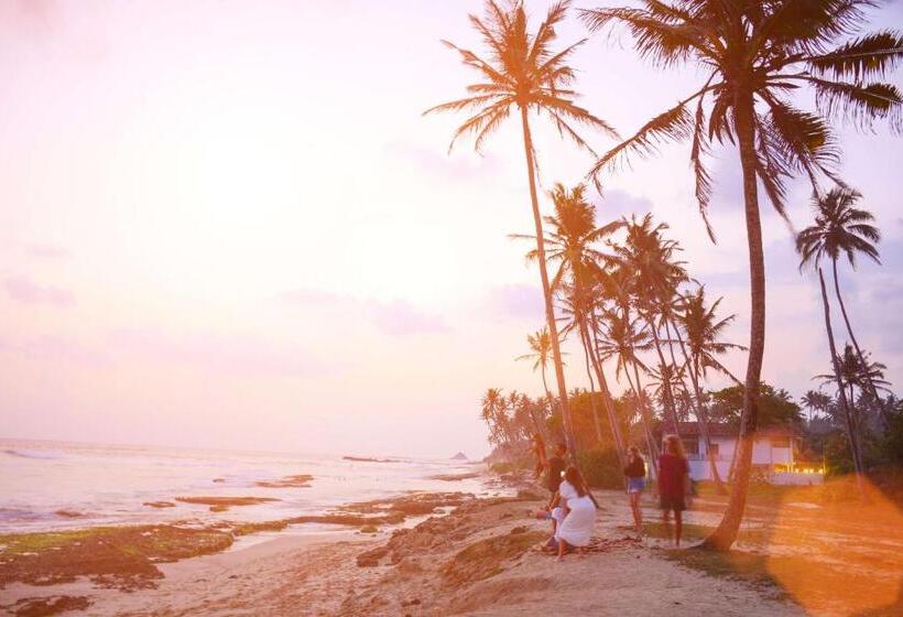 פנסיון Surfing Life