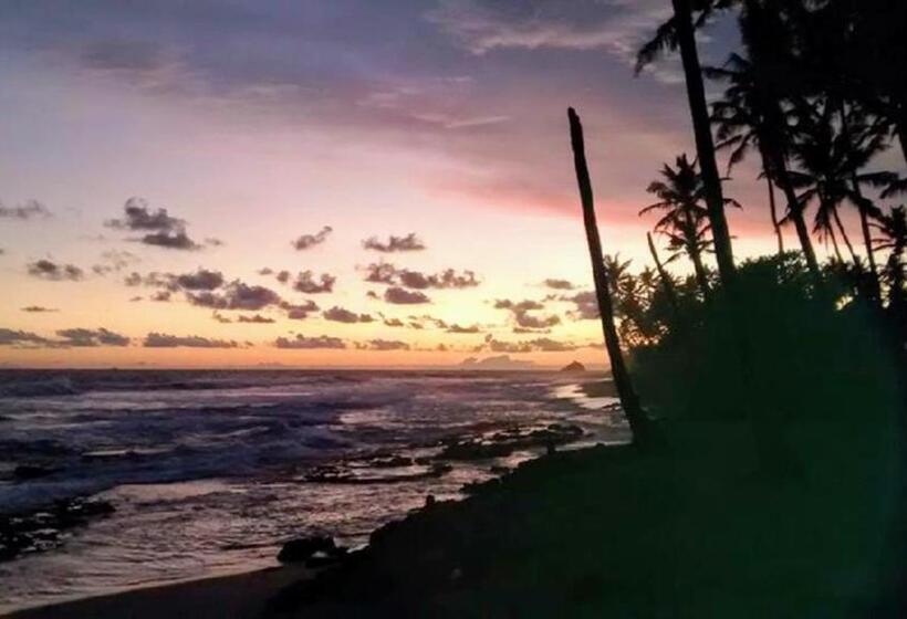 פנסיון Surfing Life