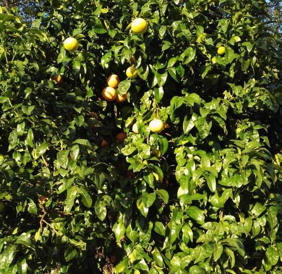 住宿加早餐  El Cuadron