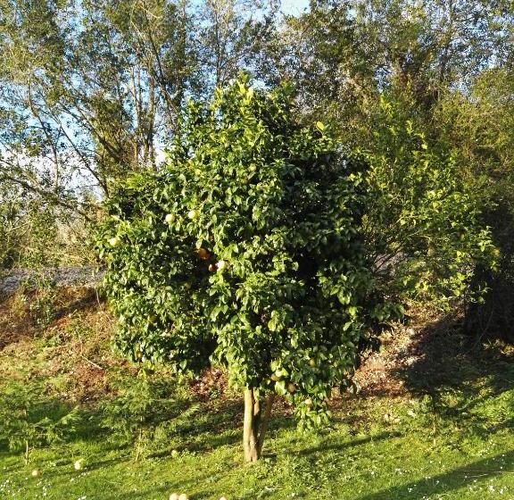 住宿加早餐  El Cuadron