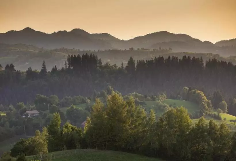 ペンション Bran Monte Crai Chalet